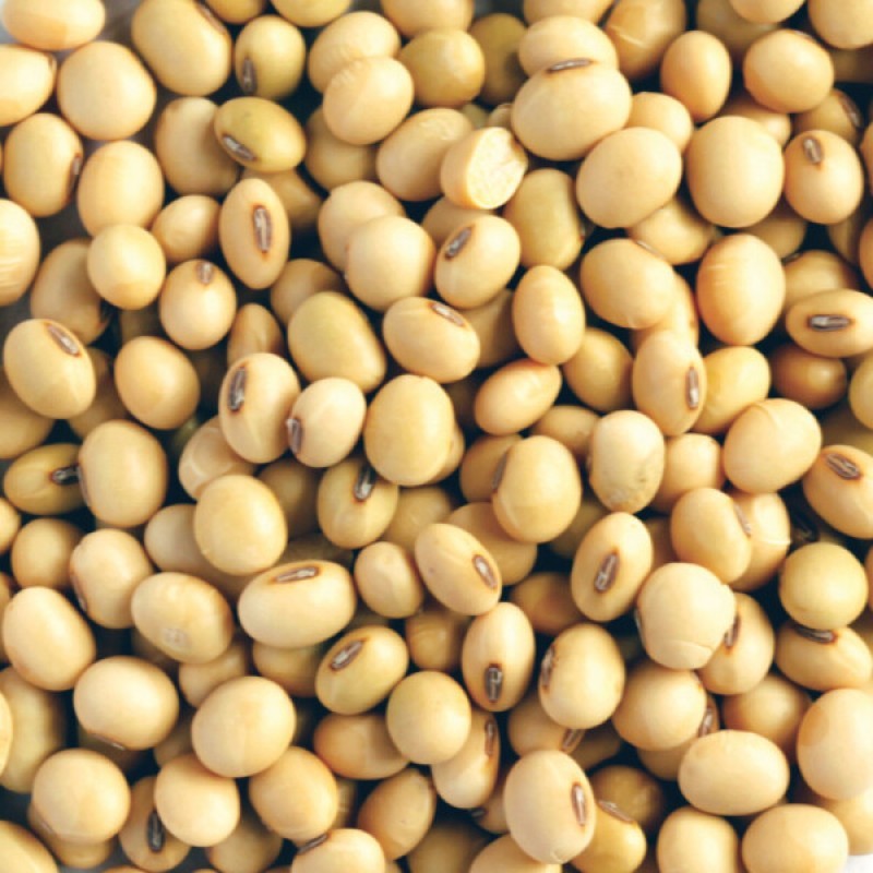 Soya beans from Zambia